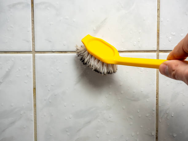 Best Bathroom Mold Remediation in Tolono, IL