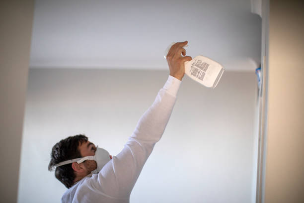 Best Residential Mold Remediation in Tolono, IL
